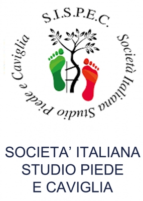 SOCIETÀ ITALIANA STUDIO PIEDE E CAVIGLIA